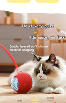 Interactive Cat Ball Toy