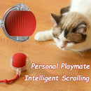 Interactive Cat Ball Toy