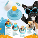 Slow Feeder Dog Bowl