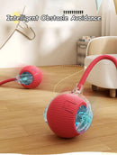 Interactive Cat Ball Toy