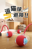 Interactive Cat Ball Toy