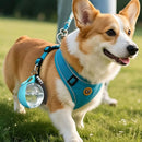 Foldable Pet Water Bottle