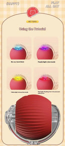 Interactive Cat Ball Toy
