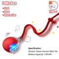 Interactive Cat Ball Toy