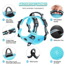No-Pull Dog Harness