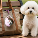 Small Dog Water Bottle 285ML Stainless Steel/Petg Convenient Dog Drink Dispenser Puppy Travel Portable Water Bowl
